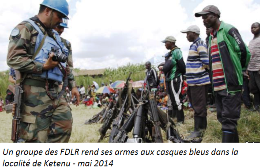 FDLR-Epouvantail-photos