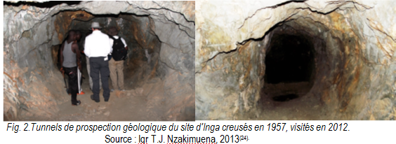 Fig2_Tunnels_Inga