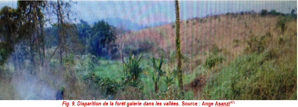 Inga2_Fig9_part2