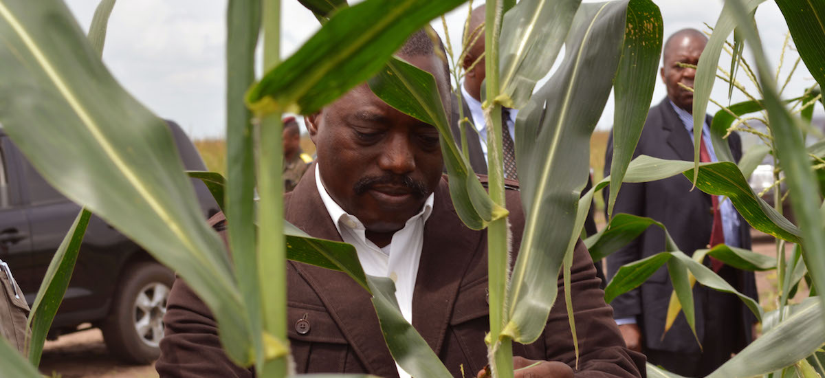 Congo’s president, Joseph Kabila (above) operates less like a stereotypical dictator and more like a ruthless CEO with a military wing.