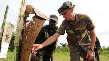 Offres d'emploi : Programme d'appui à la réforme du secteur de la sécurité en RDC - GIZ IS