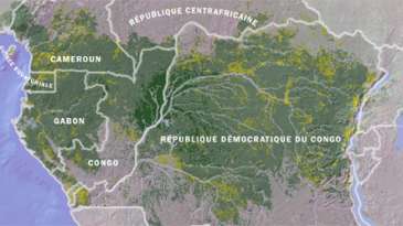 La problématique des eaux du bassin du fleuve Congo et les enjeux géopolitiques sous-jacents expliqués par Sinaseli Tshibwabwa
