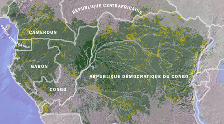 bassin_du_congo Desk Africain d'Analyses Stratégiques