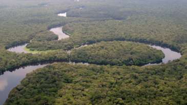 Quel avenir pour les parcs naturels en RD Congo ? Cas du Parc national de la Salonga - Sinaseli Tshibwabwa