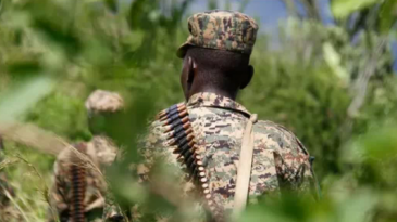La stratégie Kabila-Kagame de reconquête militaire du Kivu-Ituri par les RDF et de brouillage sémantique – B. Musavuli