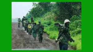 Surrendered M23 fighters being escorted.