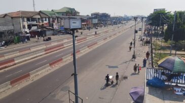Le syndrome de la tour d’ivoire : quand l’illusion du pouvoir remplace sa réalité